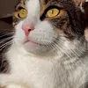 0fidely