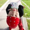 Móng Cái Review