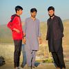 samii_ckl