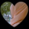 userbest0287456