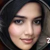 zai8383