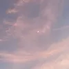 wpdtmpwpwg