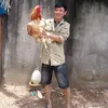 tanggiahao2010