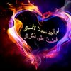 mahmodaboelsaood