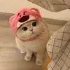 thuhangmsa99