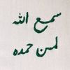 zzl181