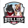 canadianmountainbullies