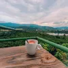 thanhphuc224