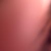 preetcammmo