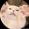 kwannitha_08