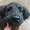 __kkungchipakchii