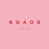 ngaos.official