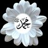 akbarnurfattahfarius