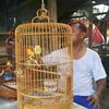 zulsamat