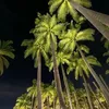 fsalemx