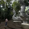 kobysuk