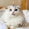 ゴゴ。