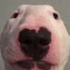bone_appleteeth