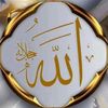 zz._zz7