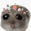 _mohnx_