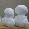 30435268097