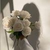 rahaf12ff