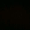 marbel695