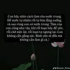 cauam1233