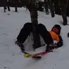 degelr