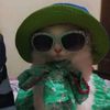 ain_072513
