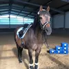 dorsdangerlove