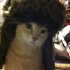 bi_wolfi