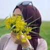 sibel.wwwtiktok