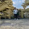 tranhyquan
