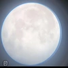 bluemoon230831