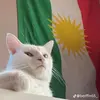 kurdiistan91