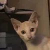 swhooooooo