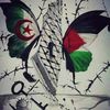 abdou___05_