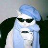 user3147518