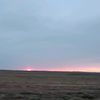 alicca1