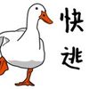 zxcvbnm__1203