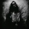 theshadowx6