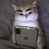 kim_y_12