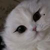 user6923707