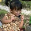 dewijaya8686