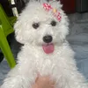 dora_cutemytry