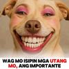 strongurl14