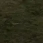 rsrhnn