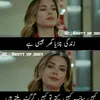 hinarajpoot537