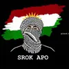 srok_apo12